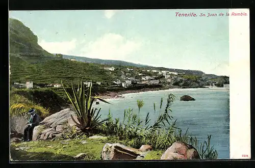 AK San Juan de la Rambla / Tenerife, Vista general