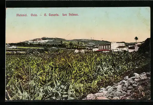 AK Las Palmas / Gran Canaria, Platanal, Guia