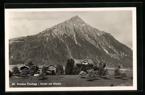 AK Aeschi bei Spiez, Ortspartie mit Hotel-Pension Friedegg, Blick zum Niesen