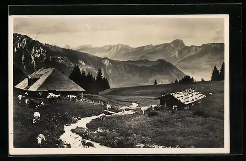 AK Rotbad, Brunialp, Hütten und Kühe auf der Weide