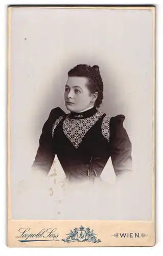 Fotografie Leopold Sess, Wien, Dame in elegantem Kleid