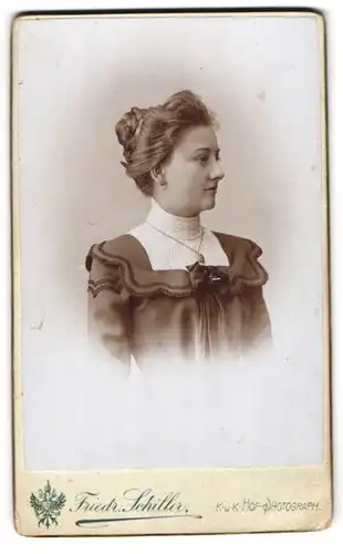 Fotografie Friedrich Schiller, Wien, Mariahilferstrasse 107, Junge Dame mit Duttfrisur und Halskette