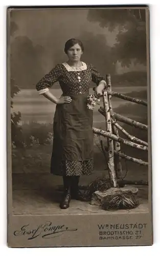 Fotografie Josef Pompe, Wiener Neustadt, Broditschgasse 21, Junge Frau im Kleid mit Schürze