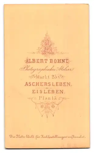 Fotografie Albert Bohne, Aschersleben, Markt 25, Kleines Mädchen in weissem kurzärmeligen Kleid