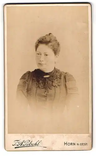Fotografie F. A. Petschl, Horn, Junge Dame mit hochgestecktem Haar und Kragenbrosche