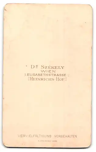 Fotografie Dr. Szekely, Wien, Elisabethstr., Junge Dame im Kleid