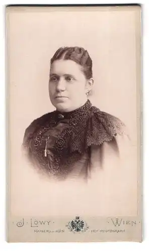 Fotografie J. Löwy, Wien, Weihburggasse 31, Beleibte Dame im bestickten Kleid mit Kragenbrosche