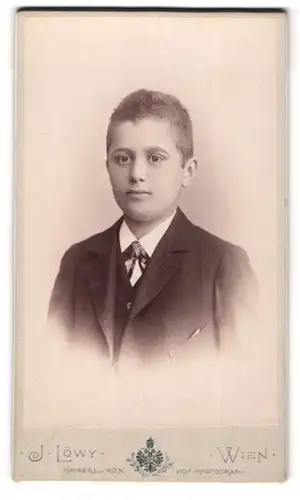Fotografie J. Löwy, Wien, Weihburggasse 31, Junger Mann im Anzug mit Fliege