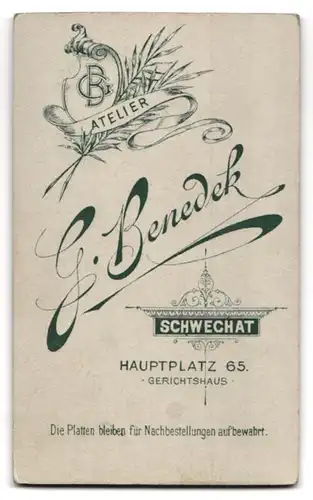 Fotografie G. Benedek, Schwechat, Hauptplatz 65, Elegant gekleideter Herr mit Moustache