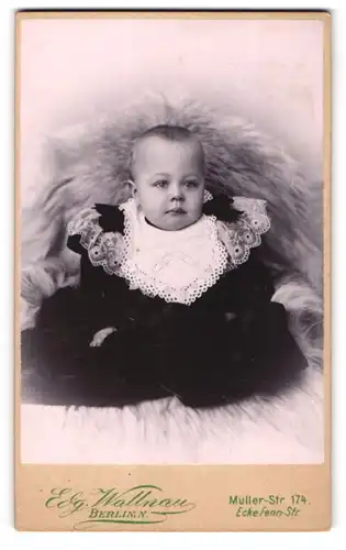 Fotografie Edg. Wallnau, Berlin-N., Müller-Str. 174 Ecke Fenn-Str., Süsses Kleinkind im Kleid sitzt auf Fell