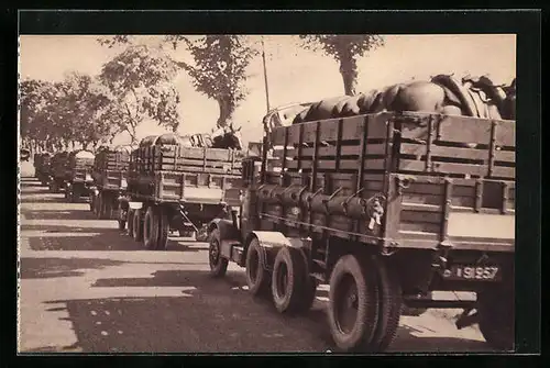 AK Train des Équipages militaires, Transport de Chevaux