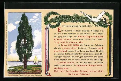 AK Die blühende Pappel auf der Insel Fehmarn