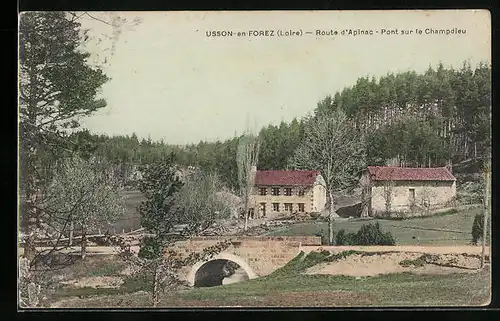 AK Usson-en-Forrez, Route d`Apinac, Pont sur le Champdieu