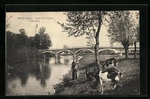 AK Feurs, Pont sur le Lignon a Naconne