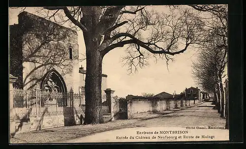 AK Neufbourg, Entree du Chateau et Route de Moingt