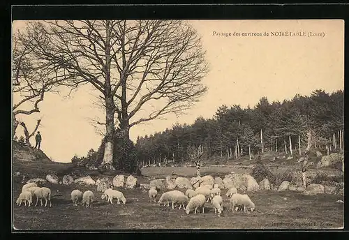 AK Noirétable, Paysage des environs