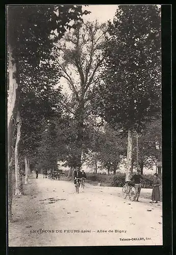 AK Environs de Feurs, Allée de Bigny