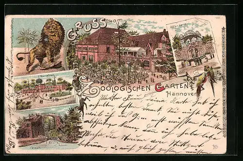 Lithographie Hannover, Zoologischer Garten mit Kamelhaus, Affenhaus, Löwe und Papageien