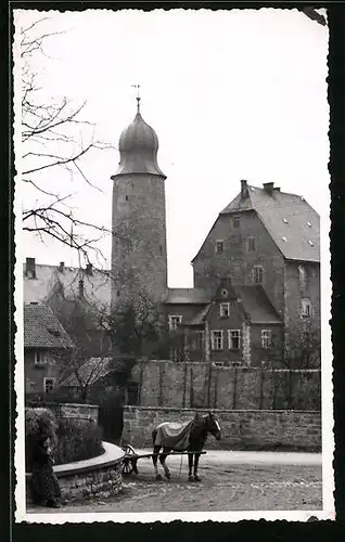 AK Eisfeld, Strassenpartie mit Schloss und Pferd
