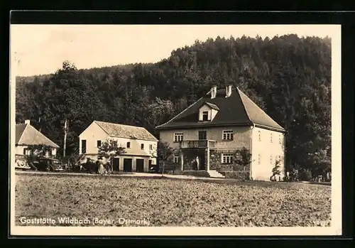 AK Wildbach, Ortspartie mit Gasthaus u. Pension