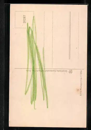 AK Greiz, Haus der Deutschen Mutter, NSV-Mütter-Erholungsheim Thüringen