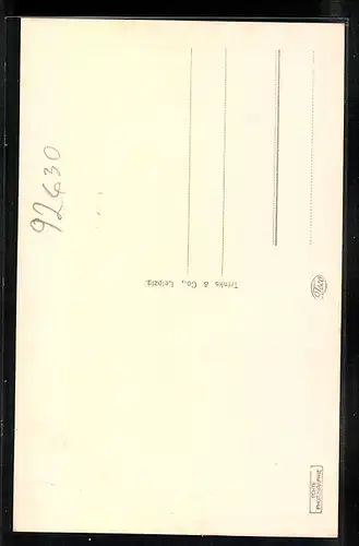 AK Weiden /Obpf., Strasse aus der Vogelschau