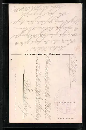 AK Kiel, Blick auf den Kriegshafen, Doppeldecker