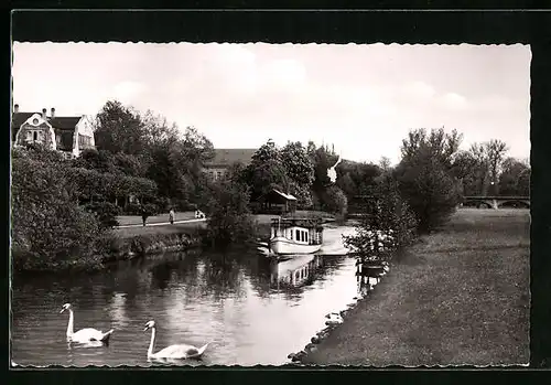 AK Bad Kissingen, Partie an der Saale mit Schwänen und Boot