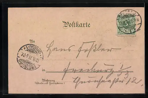 Lithographie Oppenau, Ruine Allerheiligen, Wasserfall, Panorama