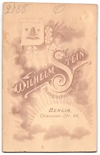 Fotografie Wilhelm Stein, Berlin, Chausseestrasse 66, Adretter Jüngling mit Gehstock und Melone