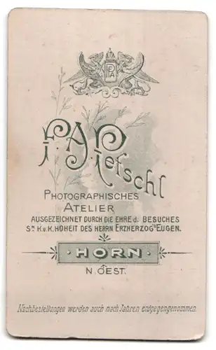 Fotografie F. A. Petschl, Horn /N.Oest., Junge Frau in langem Kleid