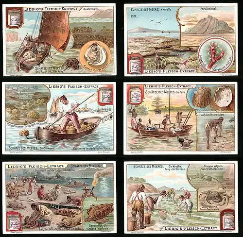 6 Sammelbilder Liebig, Serie Nr. 716: Schätze des Meeres, Badeschwamm, Auster, Edelkoralle, Krabbe
