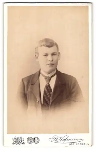 Fotografie Ph. Hofmann, Stollberg i /S., Junger Herr im Anzug mit Krawatte