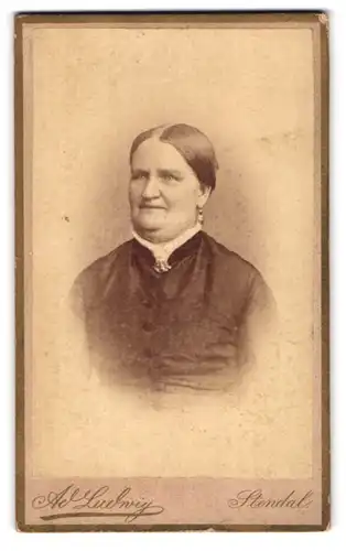 Fotografie Ad. Ludwig, Stendal, Halsstr. 62, Bürgerliche Dame mit Kragenbrosche