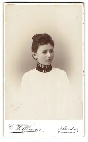 Fotografie Carl Wolffram, Stendal, Breitestr. 7, Junge Dame mit hochgestecktem Haar