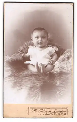 Fotografie M. Hirsch, Berlin-Spandau, Breite Str. 26-28, Süsses Kleinkind im weissen Hemd sitzt auf Fell