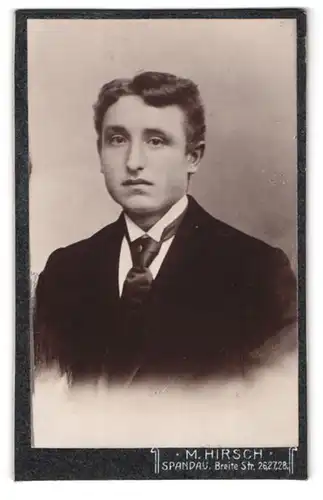 Fotografie M. Hirsch, Spandau, Breite Strasse 26, Junger Mann mit Haartolle und Krawatte
