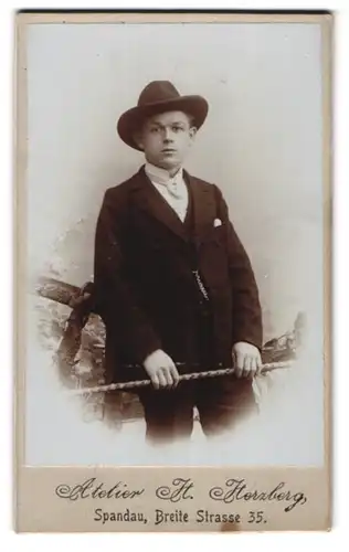Fotografie H. Herzberg, Spandau, Breite Strasse 35, Junger Mann im Anzug, einen Stock haltend