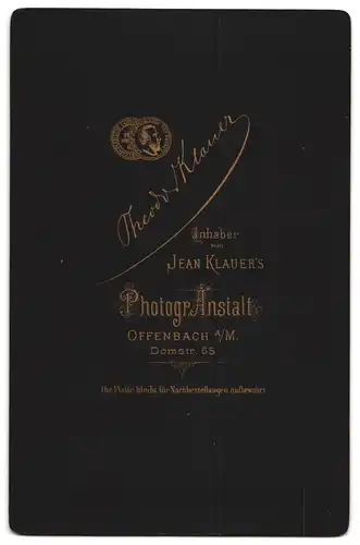 Fotografie Th. Klauer, Offenbach a. M., Junger Mann mit Backenbart