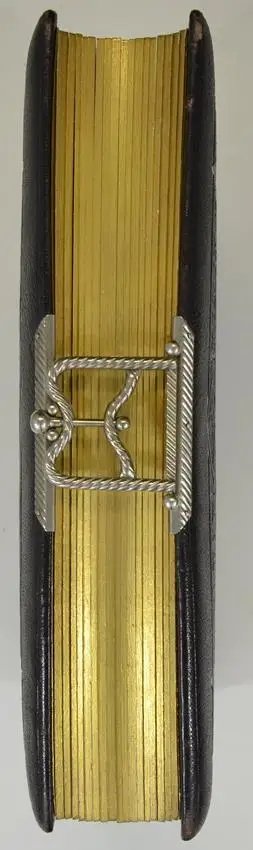 Fotoalbum im Ledereinband, Metallschliesse, Lithographische Innenseiten, 17 Goldschnittseiten für Kabinett und CDV-Fotos 2