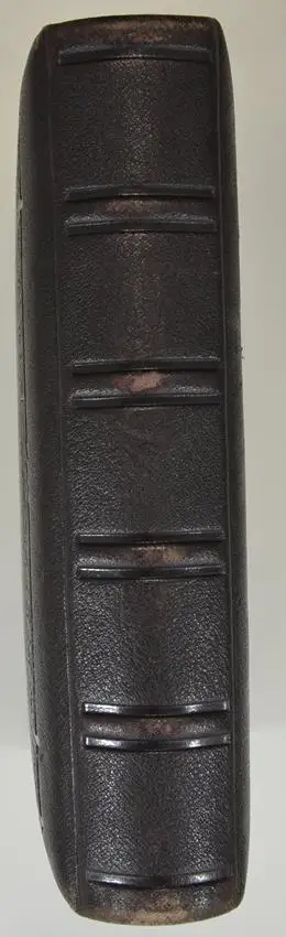 Fotoalbum im Ledereinband, Metallschliesse, Lithographische Innenseiten, 17 Goldschnittseiten für Kabinett und CDV-Fotos 4