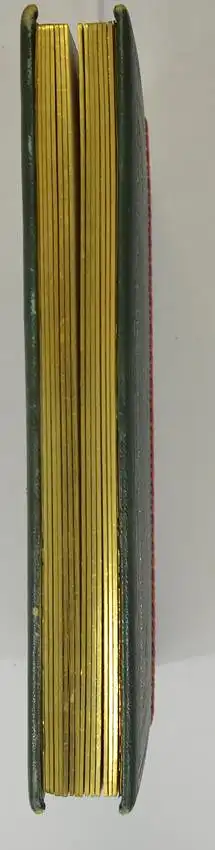 Fotoalbum im grünen Ledereinband, Album Familie Franz Schneibel 1883, 14 Goldschnittseiten für Kabinett und CDV-Fotos 2