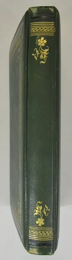 Fotoalbum im grünen Ledereinband, Album Familie Franz Schneibel 1883, 14 Goldschnittseiten für Kabinett und CDV-Fotos 4