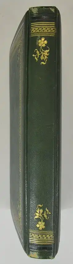 Fotoalbum im grünen Ledereinband, Album Familie Franz Schneibel 1883, 14 Goldschnittseiten für Kabinett und CDV-Fotos 4