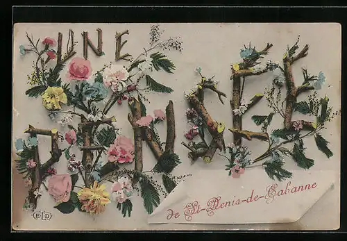 AK St-Denis-de-Cabanne, Une Pensee, Blumengruss