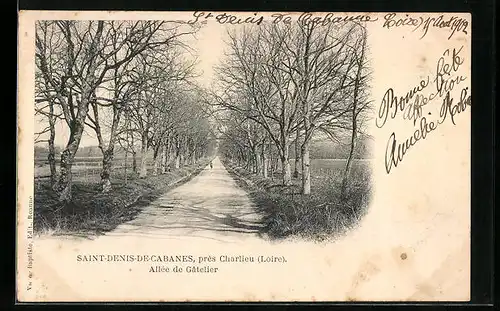 AK St-Denis-de-Cabanne, Allee de Gatelier