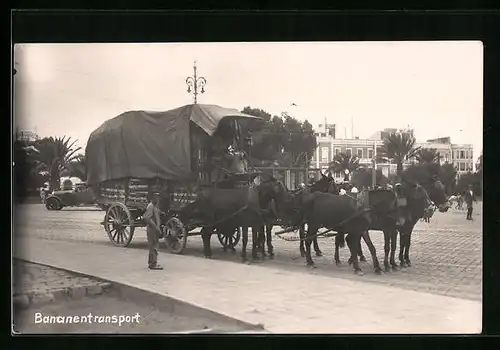 AK Bananentransport mit Pferdegespann