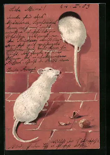Präge-AK Weisse Mäuse und Haselnüsse