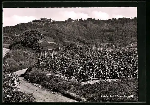 AK Schwanberg /Ufr., Blick auf das Schloss