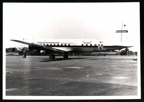 Fotografie Flugzeug Douglas DC-6, Passagierflugzeug der SAS, Kennung SE-BDS